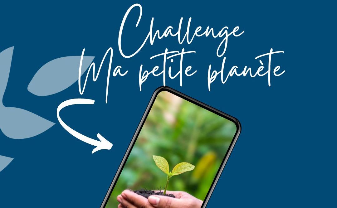 Polytech Alumni Challenge Ma Petite Plan Te